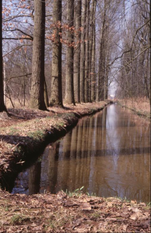 Free stock image of Landscape created by MUNCH PIERRE