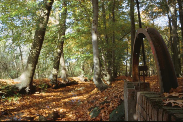 Free stock image of Woods created by MUNCH PIERRE