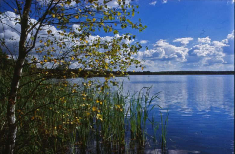 Free stock image of Landscape scenery created by MUNCH PIERRE