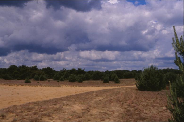 Free stock image of Landscape created by MUNCH PIERRE