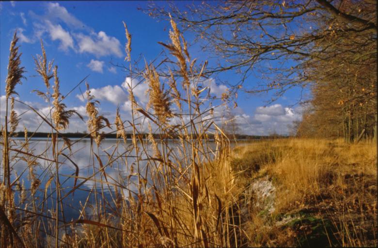 Free stock image of Landscape created by MUNCH PIERRE