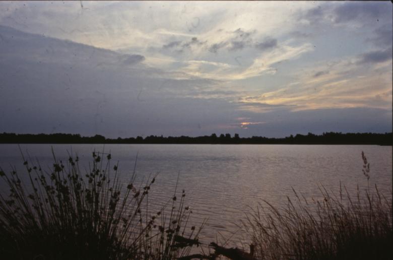 Free stock image of Landscape created by MUNCH PIERRE