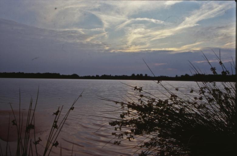 Free stock image of Landscape created by MUNCH PIERRE