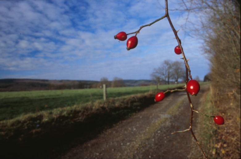 Free stock image of Landscape created by MUNCH PIERRE
