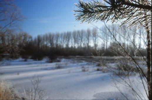 Free Stock Photo of Winter Landscape