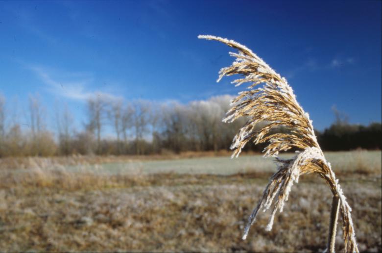 Free stock image of Winter Landscape created by MUNCH PIERRE