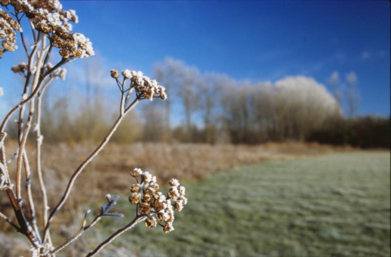 Free stock image of Winter Landscape created by MUNCH PIERRE