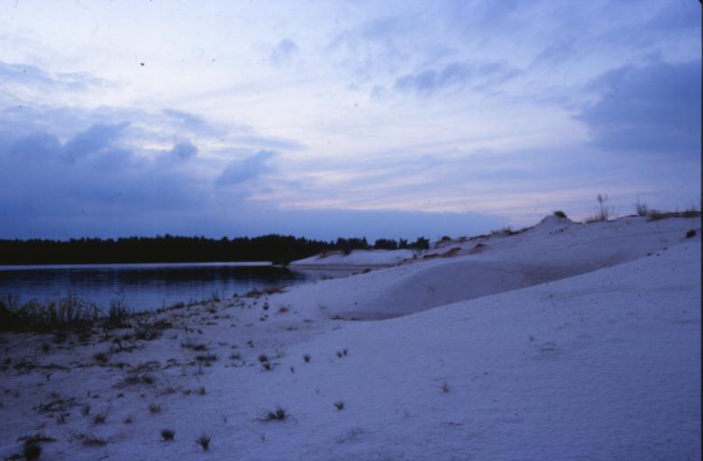 Free stock image of Winter Landscape created by MUNCH PIERRE