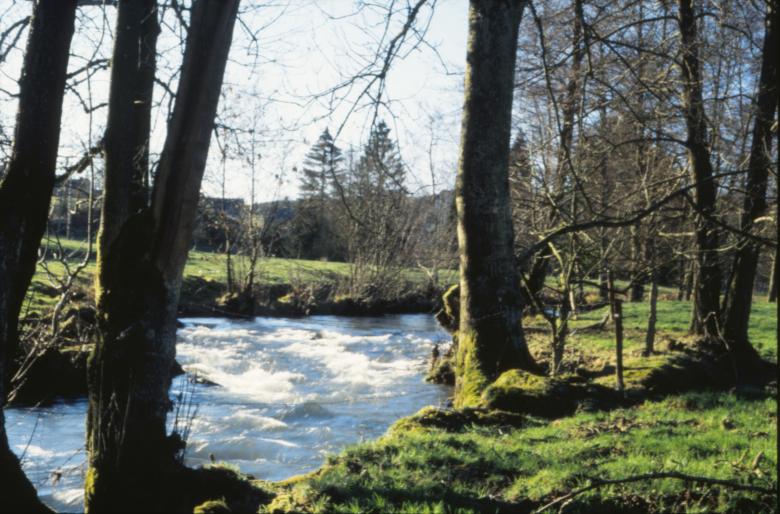 Free stock image of Forest landscape created by MUNCH PIERRE