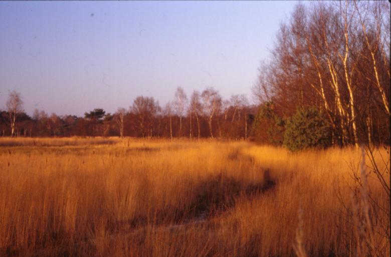 Free stock image of Landscape created by MUNCH PIERRE