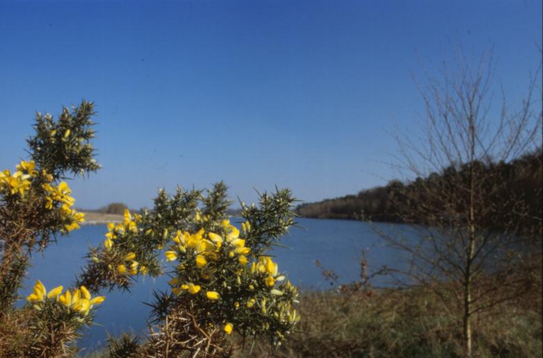 Free stock image of Landscape created by MUNCH PIERRE