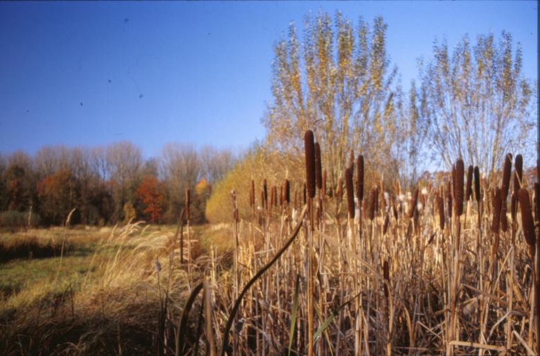 Free stock image of Landscape created by MUNCH PIERRE
