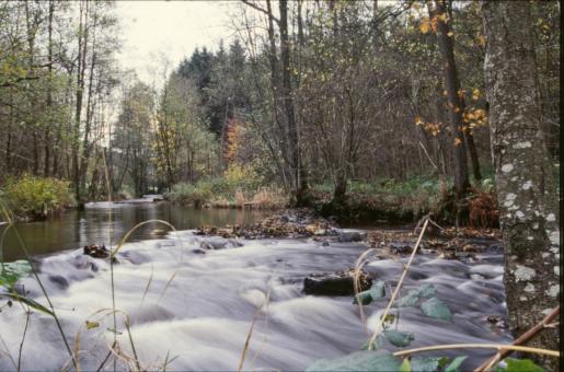 Free Stock Photo of River Landscape
