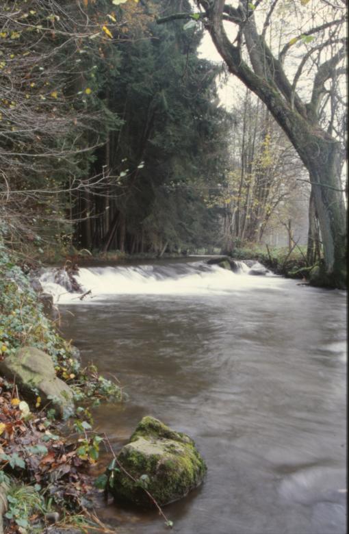 Free stock image of River Landscape created by MUNCH PIERRE