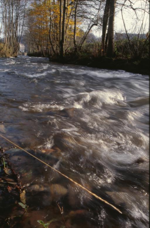 Free stock image of River Landscape created by MUNCH PIERRE