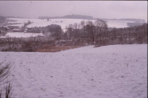 Free Stock Photo of Winter Landscape