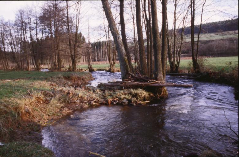 Free stock image of Landscape created by MUNCH PIERRE