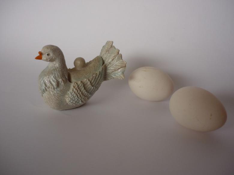Free stock image of Duck Eggs created by Ali Haider