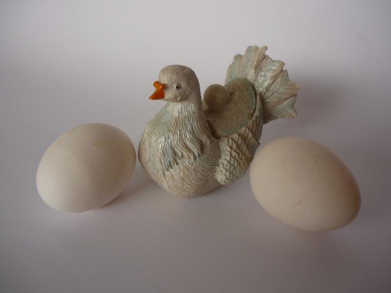 Free stock image of Duck Eggs created by Ali Haider