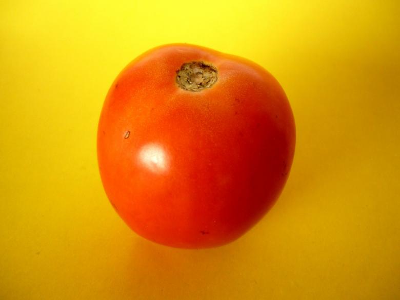 Free stock image of Tomato created by Ali Haider