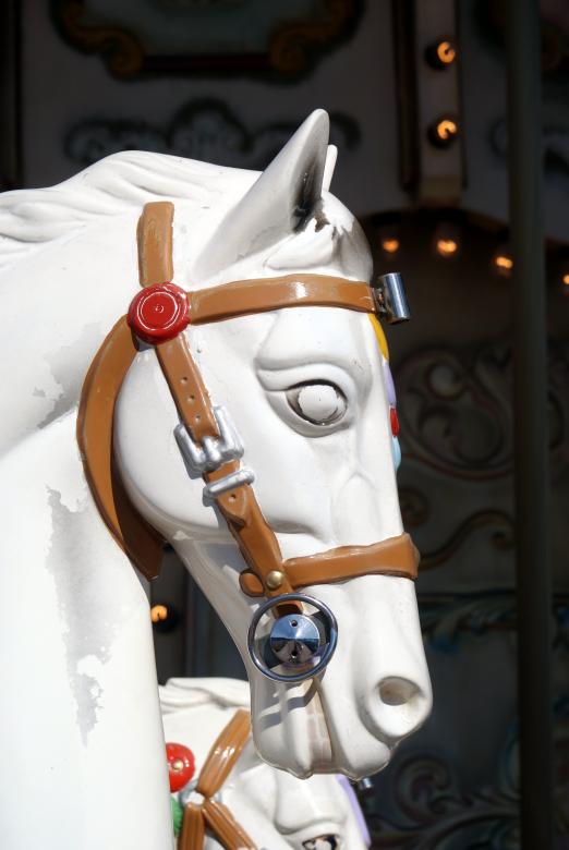 Free stock image of Carousel Horsey -1 created by Jesus Baez