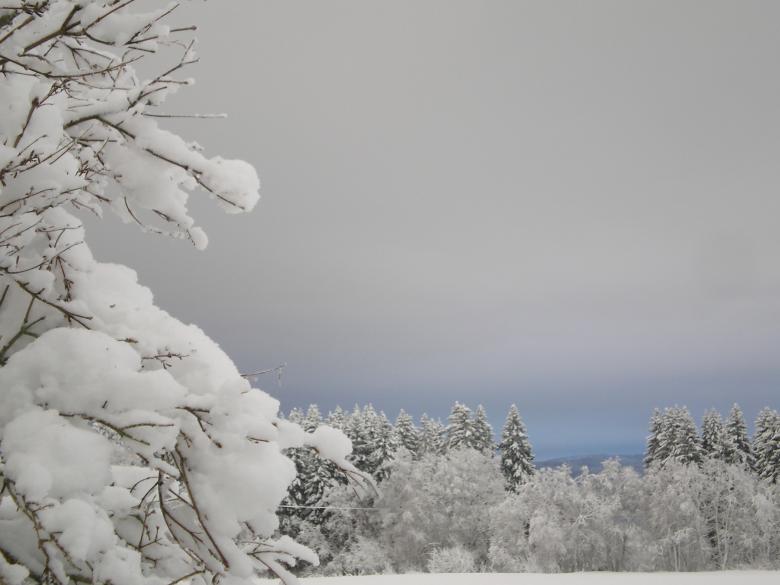 Free stock image of Winter created by Edny Genc