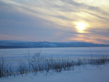 Winter - Free Stock Photo