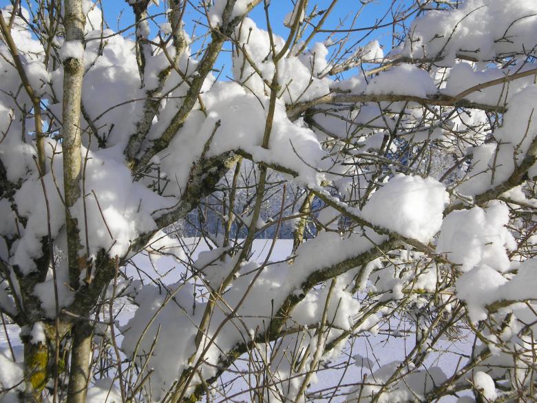Free stock image of Winter created by Edny Genc