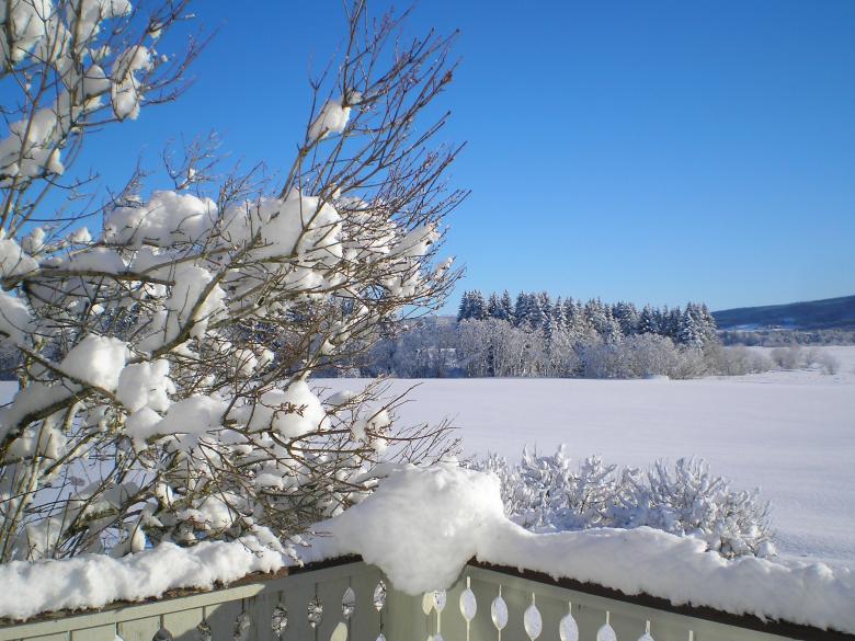 Free stock image of Winter created by Edny Genc