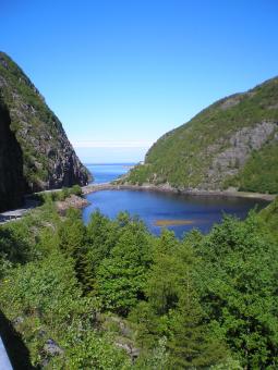 Landscape - Free Stock Photo