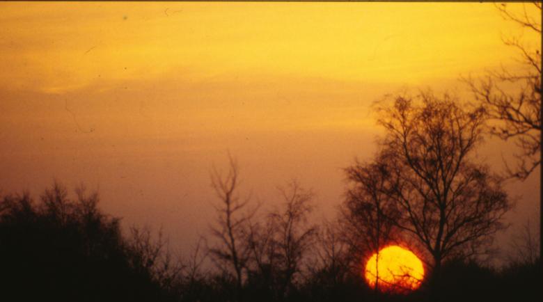 Free stock image of Sunset created by MUNCH PIERRE