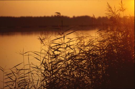 Sunset - Free Stock Photo