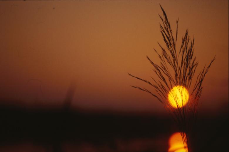 Free stock image of Sunset created by MUNCH PIERRE