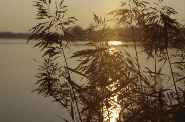 Free stock image of Sunset created by MUNCH PIERRE