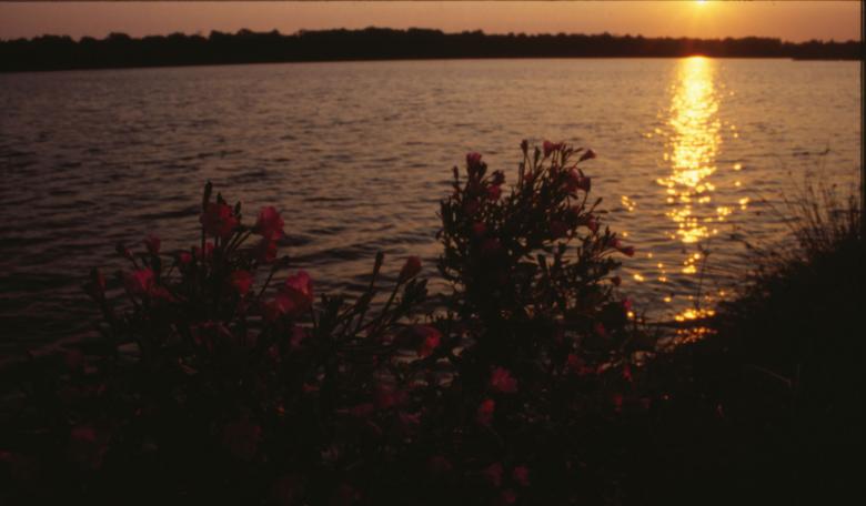 Free stock image of Sunset created by MUNCH PIERRE