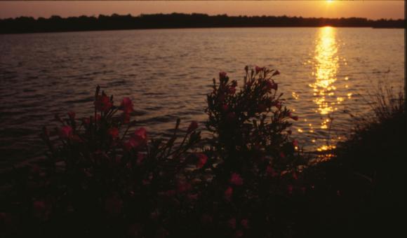 Free Stock Photo of Sunset