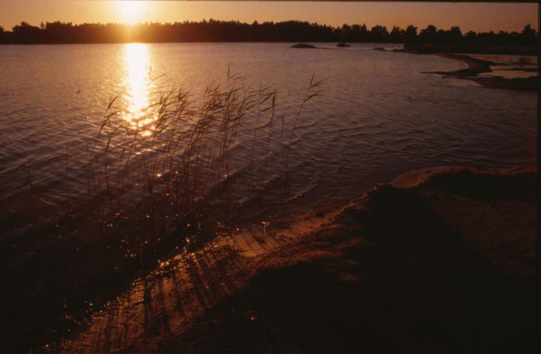 Free stock image of Sunset created by MUNCH PIERRE