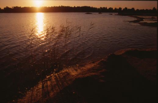 Free Stock Photo of Sunset