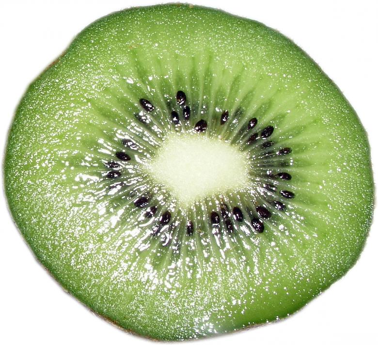Free stock image of Kiwi created by klarissa meyers