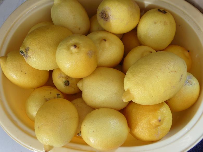 Free stock image of Lemons created by Mehmedali