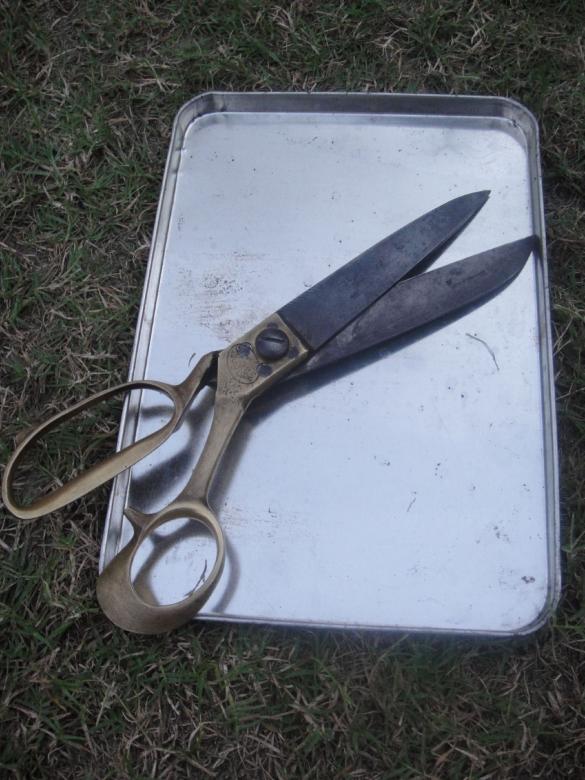 Free stock image of Scissors created by Ali Haider