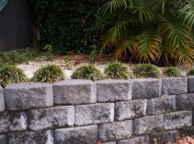 Free stock image of A little garden created by James Walton
