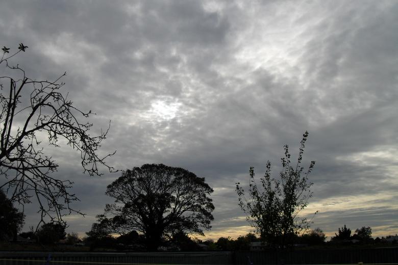 Free stock image of Grey skies above the trees created by Ngaire