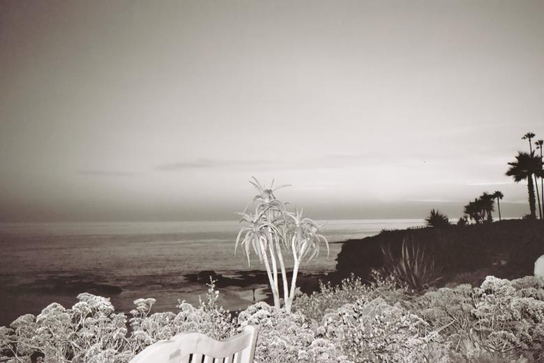 Free stock image of Laguna sunset created by vickie cook