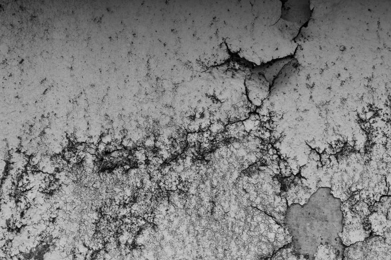 Free stock image of Grunge wall created by Bjorgvin