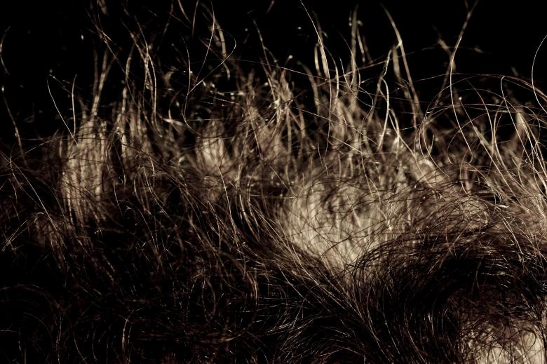 Free stock image of Human Hair created by Bjorgvin
