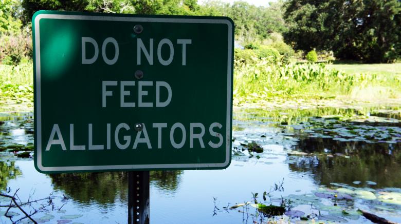 Free stock image of Do Not Feed the Alligators created by Thom Parkin