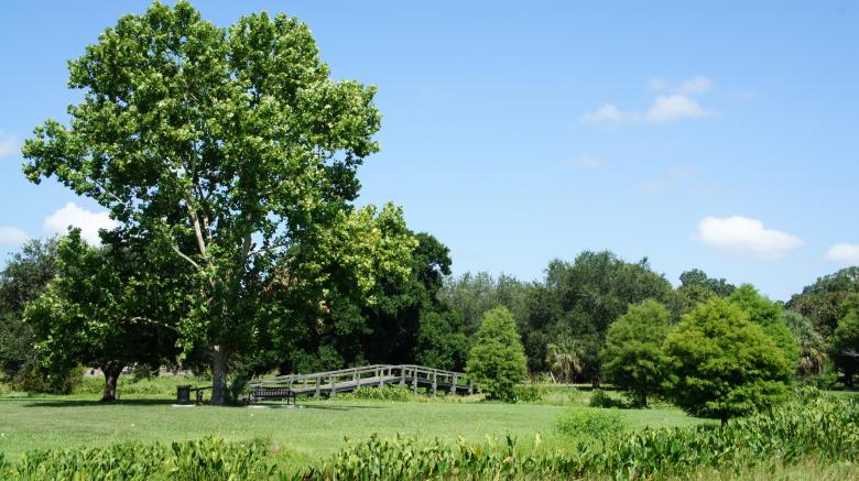 Free stock image of Nature Landscape created by Thom Parkin