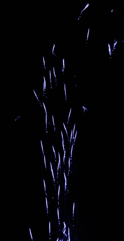 Free stock image of large colorful fireworks created by david balasa