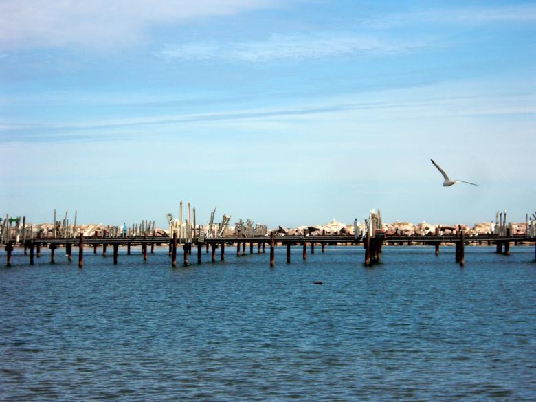 Free stock image of milwaukee shoreline created by Brian